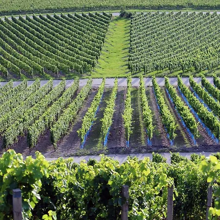 Am Steigerwaldrand Sugenheim
