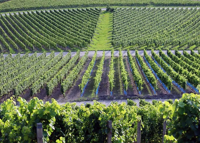 Am Steigerwaldrand Sugenheim